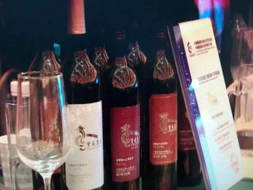 青銅峽葡萄酒 目標年產值200億元，讓世界為之傾倒的東方佳釀