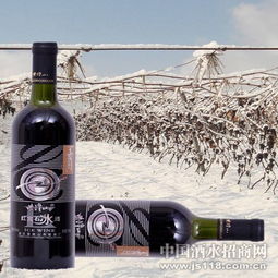 紫隆山紅寶石冰酒 品味時光凝萃，共創財富未來——通化紫隆山葡萄酒廠火熱招商